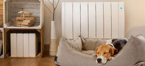 Dog sleeping next to an electric radiator